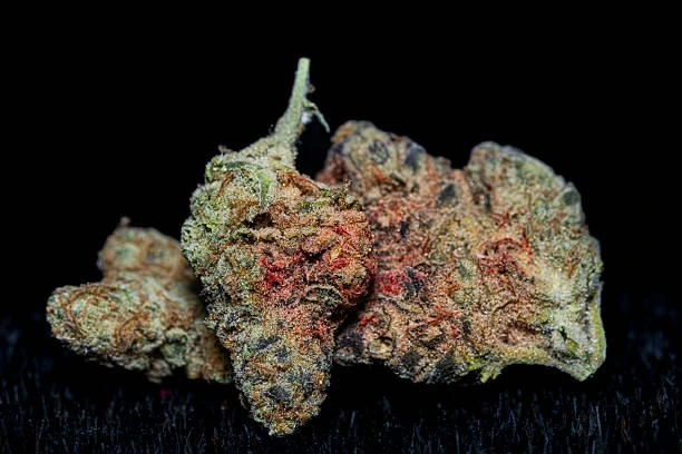Strawberry Cough Strain