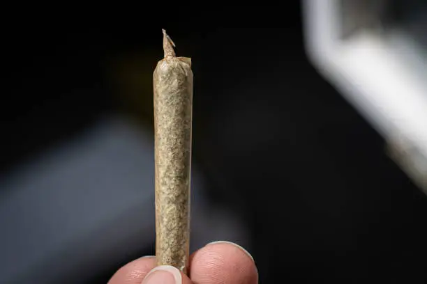 Indica vs Sativa Pre-Rolls