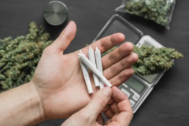 Best THC Pre-Rolls for Beginners