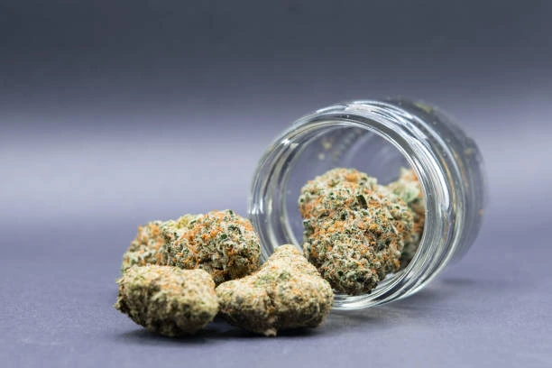 GMO Strain