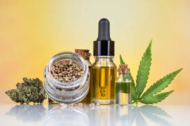 CBD Oil for Beginners