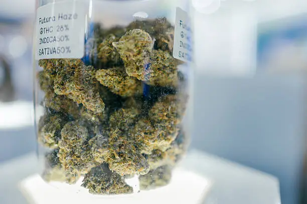 Best Cannabis Strains 2026